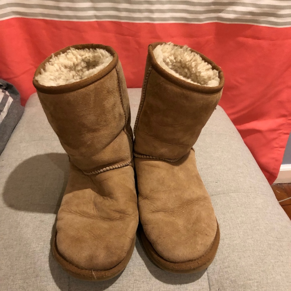 Chestnut Uggs❄️